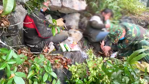 Video: Hai công dân băng rừng nhập cảnh trái phép vào Việt Nam bị kiệt sức, không thể xuống núi