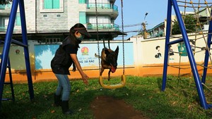 Góc nhìn trưa nay | Cô giáo của những chú cún cưng