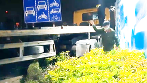 Video: Va chạm với xe đầu kéo ở ngã ba không có đèn chiếu sáng, 2 anh em ruột tử vong