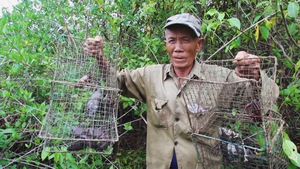 Góc nhìn trưa nay | Thú vị cách đặt lợp bắt ba khía mang về thu nhập cao cho người dân