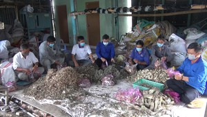Góc nhìn trưa nay | Những thang thuốc xông ấm áp tình người