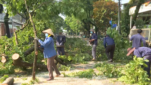 Video: Giông lốc giật mạnh, nhiều cây xanh ở Đồng Xoài gãy đổ