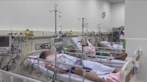 Góc nhìn trưa nay | TP.HCM căng mình chống dịch sốt xuất huyết