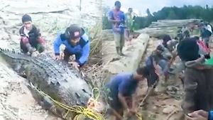 Video: Người dân và cảnh sát vây bắt con cá sấu dài 8 mét ăn thịt ngư dân