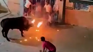 Video: Bò tót húc chết người trong lễ hội ở Tây Ban Nha