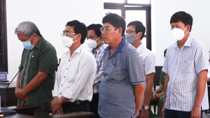 Video: Tuyên án nhiều giám đốc doanh nghiệp ở Ninh Thuận về tội đưa hối lộ, lừa đảo chiếm đoạt tài sản
