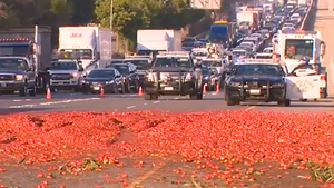 Video: Nhiều xe tông nhau trên cao tốc vì hàng tấn cà chua đổ ra đường