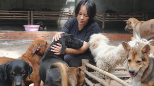 Góc nhìn trưa nay | Chuyện về ngôi ‘nhà chung’ của hàng trăm chó mèo được cứu từ lò mổ