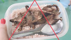 Video: Bức ảnh ‘cơm học sinh với thịt chuột’ được chụp từ năm 2019 trong hội thi ẩm thực