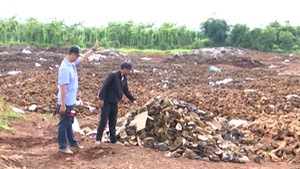 Video: Đổ vỏ sầu riêng bừa bãi, bốc mùi thối khiến hàng trăm hộ dân 'mất ăn mất ngủ'