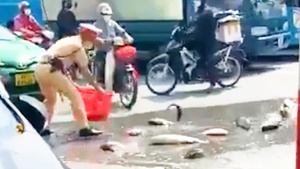 Video: Thấy cá đổ ra đường, CSGT chạy tới giúp người đi xe máy nhặt lại không thiếu con nào