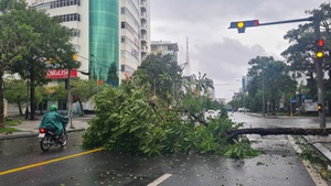 Trực tiếp: Tâm bão đổ bộ vào Đà Nẵng, Quảng Nam, mưa lớn, gió giật cấp 13