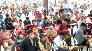 Người dân ở TP.HCM đổ xô đi đổi bằng lái xe