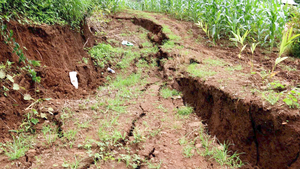 Người dân ghi lại nhiều hình ảnh nứt, sạt trượt đất gây lo lắng ở Đắk Nông
