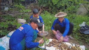 Góc nhìn trưa nay | Mùa mưa, lên núi hái 'lộc trời'