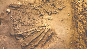 Phát hiện di cốt người niên đại 10.000 năm ở quần thể danh thắng Tam Chúc, Hà Nam
