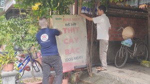Góc nhìn trưa nay | Hội An nỗ lực trở thành thành phố đầu tiên không ăn thịt chó