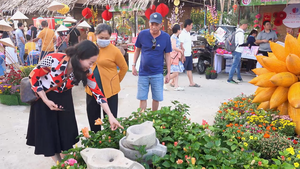 Đồng Tháp khai mạc Festival hoa kiểng Sa Đéc lần thứ nhất
