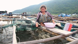 Nuôi biển Việt Nam: Vướng mắc kìm chân sự phát triển