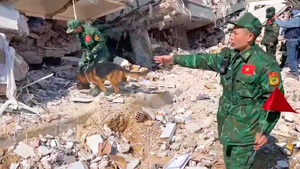 Sử dụng chó nghiệp vụ để xác định 2 vị trí có dấu hiệu sự sống trong đống đổ nát ở Thổ Nhĩ Kỳ