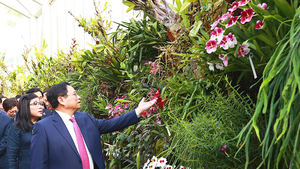 Video: Loài hoa lan mới của Singapore mang tên Thủ tướng Phạm Minh Chính và phu nhân Lê Thị Bích Trân