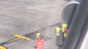 Video: Máy bay hạ cánh khẩn cấp sau khi bị một đàn chim bồ câu lao vào động cơ