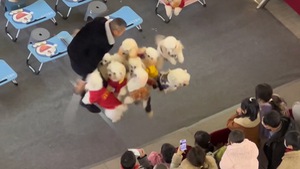 Video: Đàn chó nhảy dây cùng người đàn ông ở trung tâm thương mại