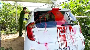 Video: Phóng viên Tuổi Trẻ bị tạt sơn xe ô tô khi đậu bên hiên nhà