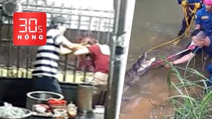 Bản tin 30s Nóng: Người bán mì quảng ở Vũng Tàu bị khách đánh túi bụi; Bắt cá sấu mò vào khu dân cư
