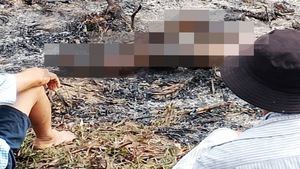 Phát hiện thi thể cháy đen, nằm ngửa trên rẫy tràm bị đốt ở Quảng Bình