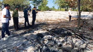 Phó chủ tịch UBND tỉnh Quảng Nam kiểm tra hiện trường vụ diễn tập chữa cháy rừng khiến cây bị cháy đen