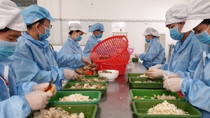 Góc nhìn trưa nay | Tách thịt cua, nghề nâng tầm giá trị cho đặc sản cua Cà Mau