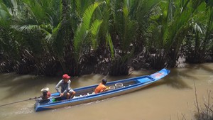 Góc nhìn trưa nay | Theo chân người Cà Mau săn chem chép biển