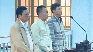 Vụ ‘tham ô tài sản’ tại Sở Nội vụ Gia Lai, Hồ Quang Thi lãnh 9 năm tù