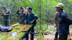 Một người nghi đi lạc trong rừng Cát Tiên: công an, kiểm lâm, quân sự đang dốc sức tìm kiếm