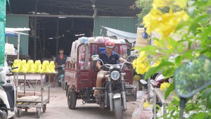 Góc nhìn trưa nay | Làng gốm Lái Thiêu nhộn nhịp vào mùa Tết