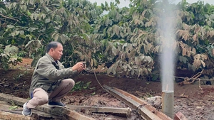 Người dân khoan giếng trúng mạch khí ngầm khiến nước phun cao, không lấp được