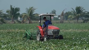 Góc nhìn trưa nay | 'Kỹ sư chân đất' và những sáng chế nông cụ hữu ích