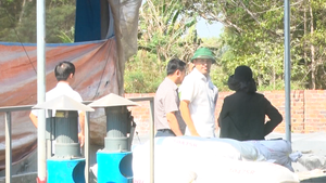 Ba người trong gia đình tử vong, nghi ngạt khí khi xuống hầm biogas cứu nhau