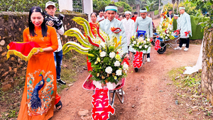 Độc lạ: Chú rể ở Bắc Giang chở sính lễ đón dâu bằng 5 xe rùa