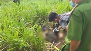 Phát hiện thi thể mất chân trái trong bụi cỏ ở Bình Phước