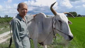 Góc nhìn trưa nay | Chuyện về lão nông kỳ lạ ở xứ Chắc Cà Đao