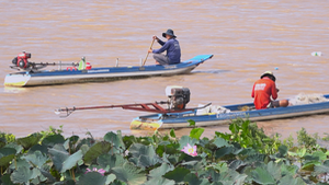 Người dân đầu nguồn sông Tiền bắt đầu khai thác thủy sản tự nhiên mùa nước nổi