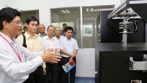 Thuê Việt kiều làm giám đốc, sao lại không?