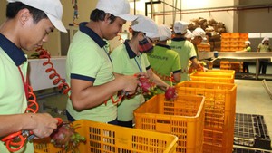 Thực phẩm nhập khẩu quá đắt là do thủ tục rườm rà