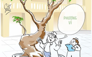 Phượng vĩ, thà ta phụ người chứ không để người phụ ta