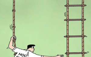Năm học 'đu dây'
