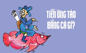 Năm nay tiễn ông Táo bằng cá gì cho ngầu?