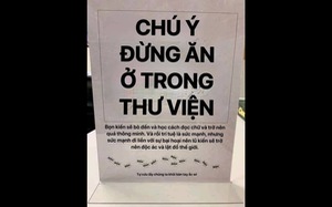 Ảnh vui 20-3: Cho kiến ăn trong thư viện là một tội ác