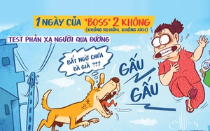 Chó thả rông: Một ngày của boss 'hai không'